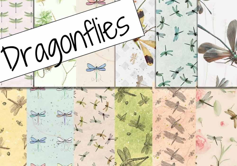 collage of different digital papers with dragonflies